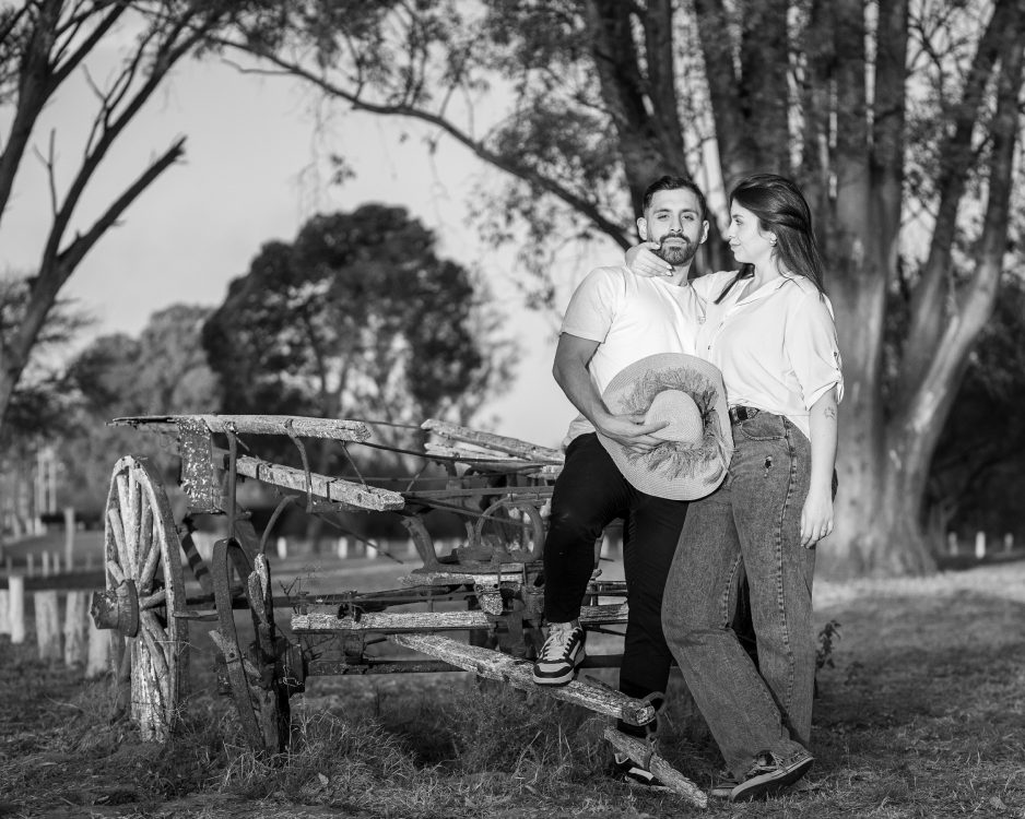 FormatFactoryDSC0 25